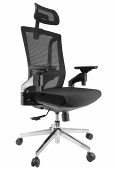 Sillas para Oficina - Silla Ejecutiva OF-11751